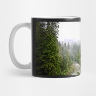 Coastal BC Woods. Mug